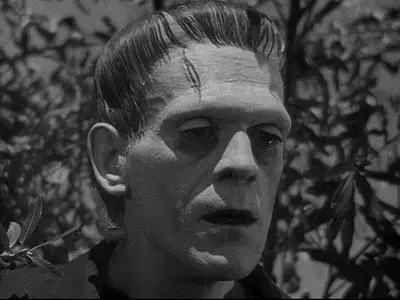 Frankenstein (1931) [75th Anniversary Edition]