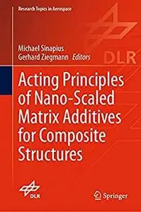 Acting Principles of Nano-Scaled Matrix Additives for Composite Structures