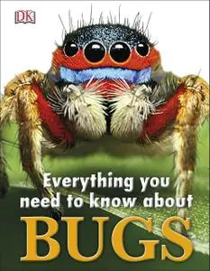 Everything You Need to Know About Bugs