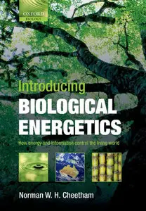 Introducing Biological Energetics: How Energy and Information Control the Living World