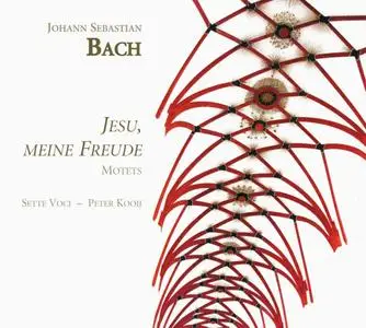 Peter Kooij, Sette Voce - Johann Sebastian Bach: Jesu, Meine Freude (2009)