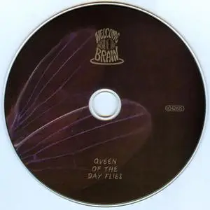 Welcome Inside The Brain - Queen Of The Day Flies (2019)