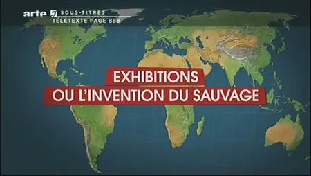(Arte) Le dessous des cartes : Exhibitions ou l'invention du sauvage (2012)