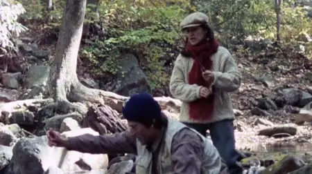 Effects (1980)