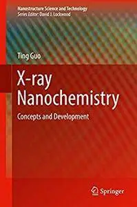 X-ray Nanochemistry: Concepts and Development (Nanostructure Science and Technology)