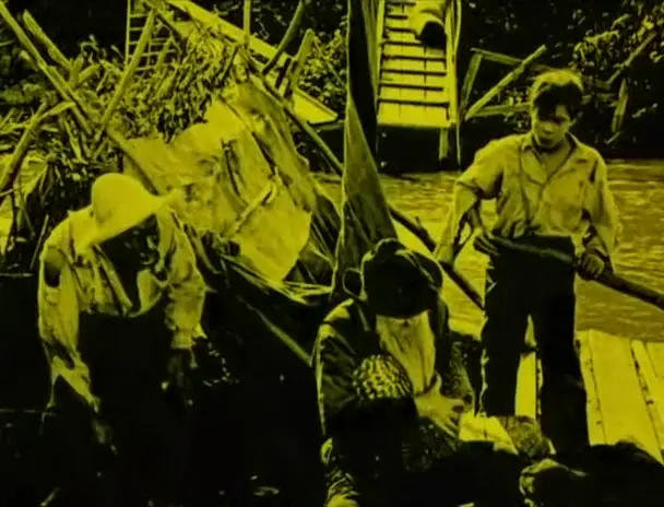 Huckleberry Finn (1920)