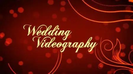 Wedding Videography