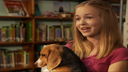 The Stray (2012)