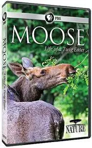 PBS - Nature: Moose: Life of a Twig Eater (2016)