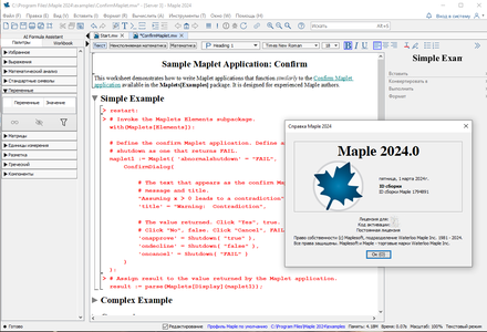 Maplesoft Maple 2024.0