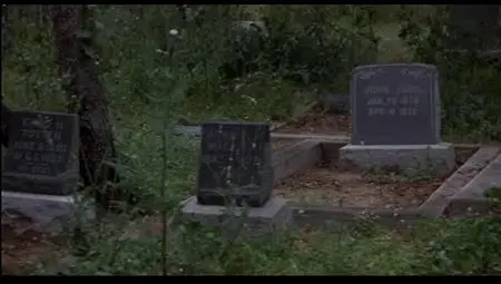 Family Plot (1976)