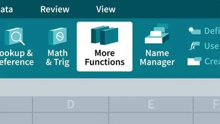 Managing and Analyzing Data in Excel 2010