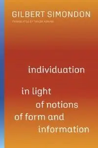 Individuation in Light of Notions of Form and Information