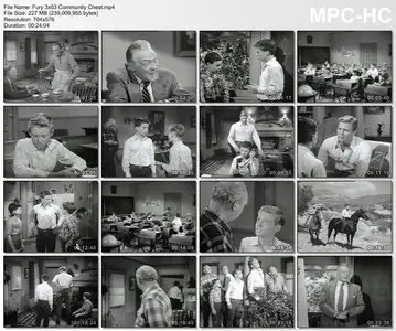Fury (Brave Stallion) - Complete Season 3 (1957)