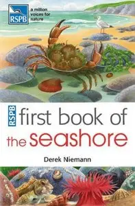 Derek Niemann, "RSPB First Book of the Seashore"