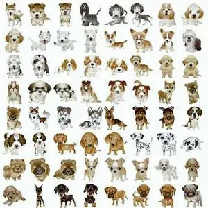 Dogs Clipart