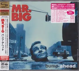 Mr. Big - Japanese SHM-CD collection (1989-1996) [Japanese Remastered Reissue 2009] RE-UP