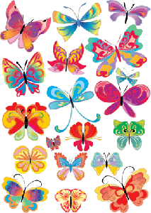 Amazing Butterfly - Vector