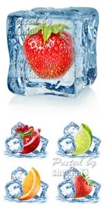 Stock Photo - Fruits & Ice