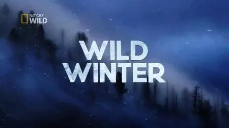 National Geographic - Wild Winter (2017)