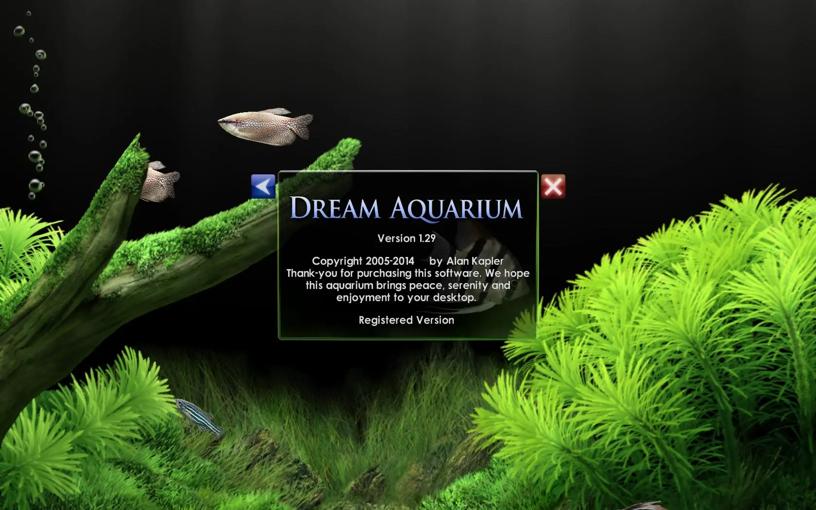 dream aquarium windows xp