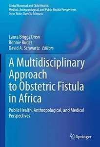 A Multidisciplinary Approach to Obstetric Fistula in Africa: Public Health, Anthropological, and Medical Perspectives