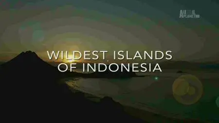 Animal Planet - Wildest Islands Of Indonesia (2017)