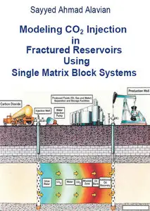 "Modeling CO2 Injection in Fractured Reservoirs Using Single Matrix Block Systems" by Sayyed Ahmad Alavian