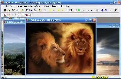 PolyView 4.43
