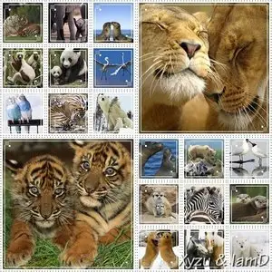 Cool glacial desktop wallpaper & Glacial desktop wallpaper - Animals life