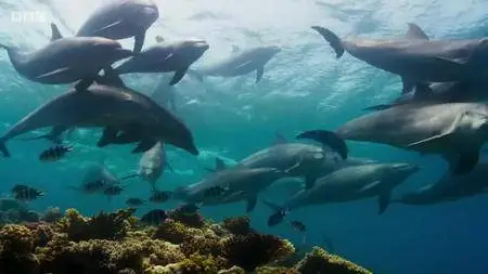 Blue Planet II S01E00