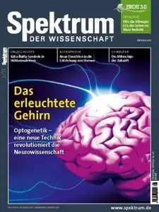 Spektrum der Wissenschaft 2/2011 (plus)
