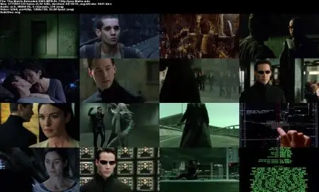 The Matrix Reloaded (2003) [Open Matte]