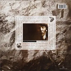 David Sylvian - Secrets Of The Beehive (1987) {Virgin V 2471} (24-96 vinyl rip)