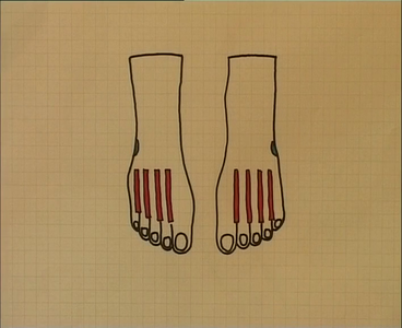 Reflexology with Allison Tovey [repost]