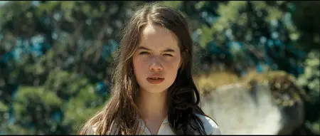 The Chronicles of Narnia: Prince Caspian (2008)