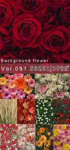 Datacraft Sozaijiten Vol.091 Background flower