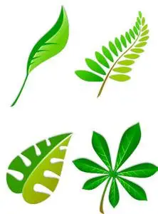 106 custom vectors