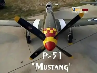 Flugel aus Stahl  P-51 - Mustang