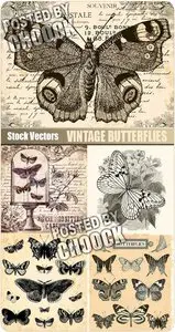 Vintage butterflies - Stock Vector