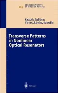 Transverse Patterns in Nonlinear Optical Resonators