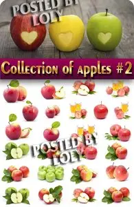 Food. Mega Collection. Apples #2 - Stock Photo