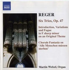 Organ Encyclopedia: Reger Organ Works Vol.6 