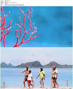 Journey to the South Pacific (2013)