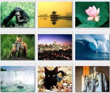 WebShots Collection. Part 11 