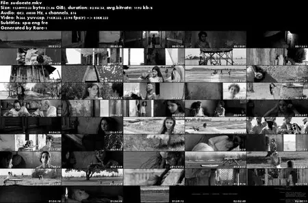 Sudoeste / Southwest (2012)