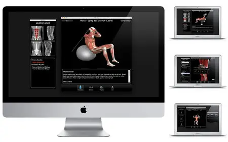 iMuscle 1.0