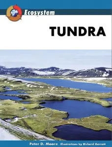 Tundra (Ecosystem)