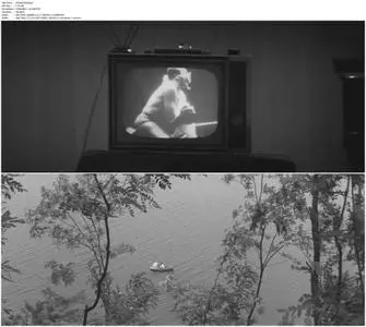 An Early Rain (1966)
