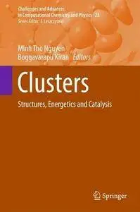 Clusters: Structure, Bonding and Reactivity (Challenges and Advances in Computational Chemistry and Physics)